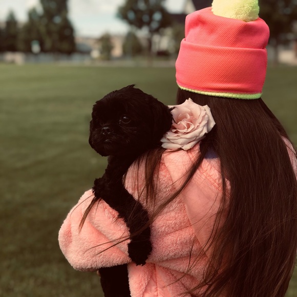 Meet your Posher, Jaylyn - Picture 1 of 1